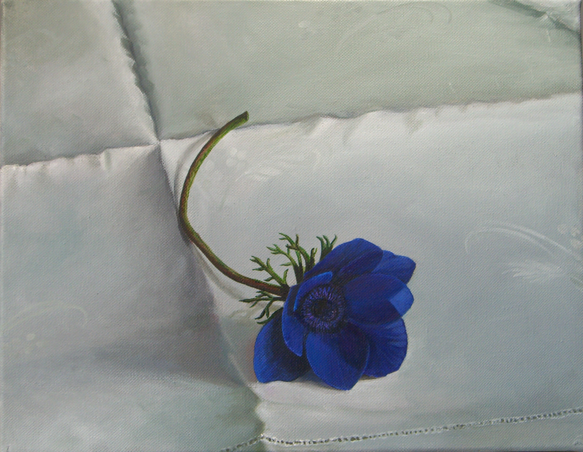 White Cloth with Anemone