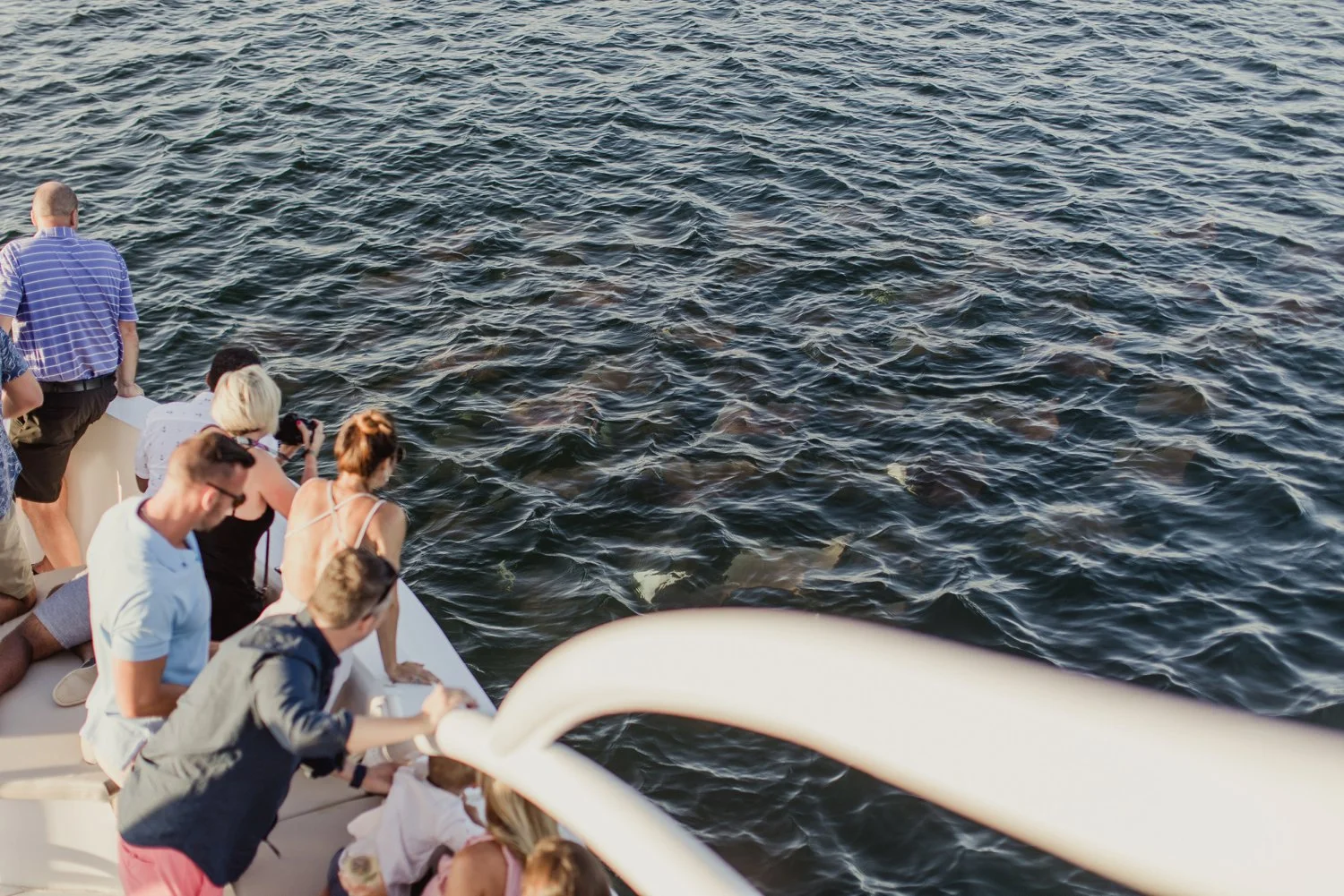 cabo destination wedding photographer dallas 019.jpg