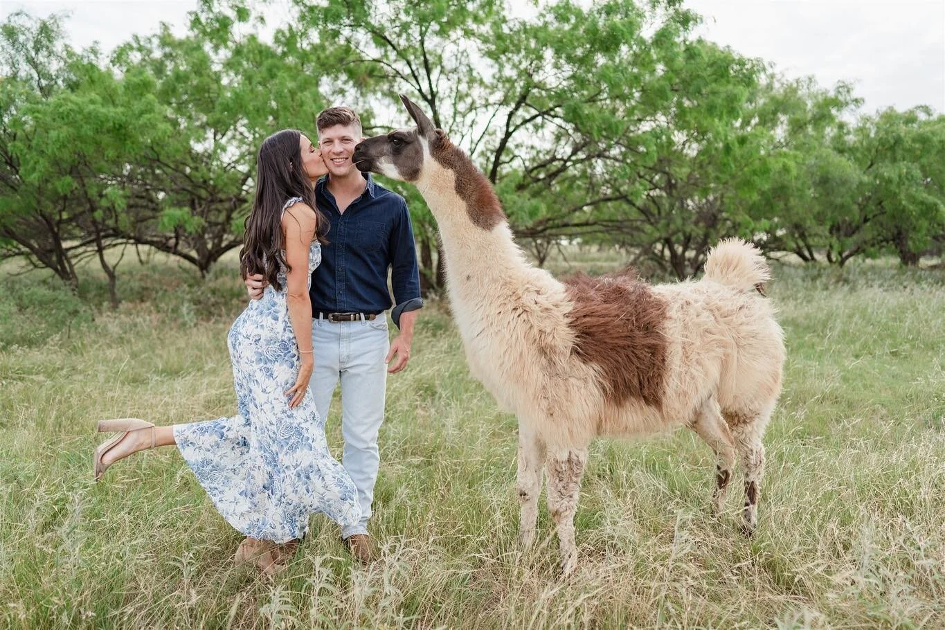 When you have your engagement pictures on the family ranch you never know who might crash the party😍😂⁠⁠
⁠⁠
We can't wait for these two lovebirds big day!⁠⁠
⁠⁠
#menaryweddings