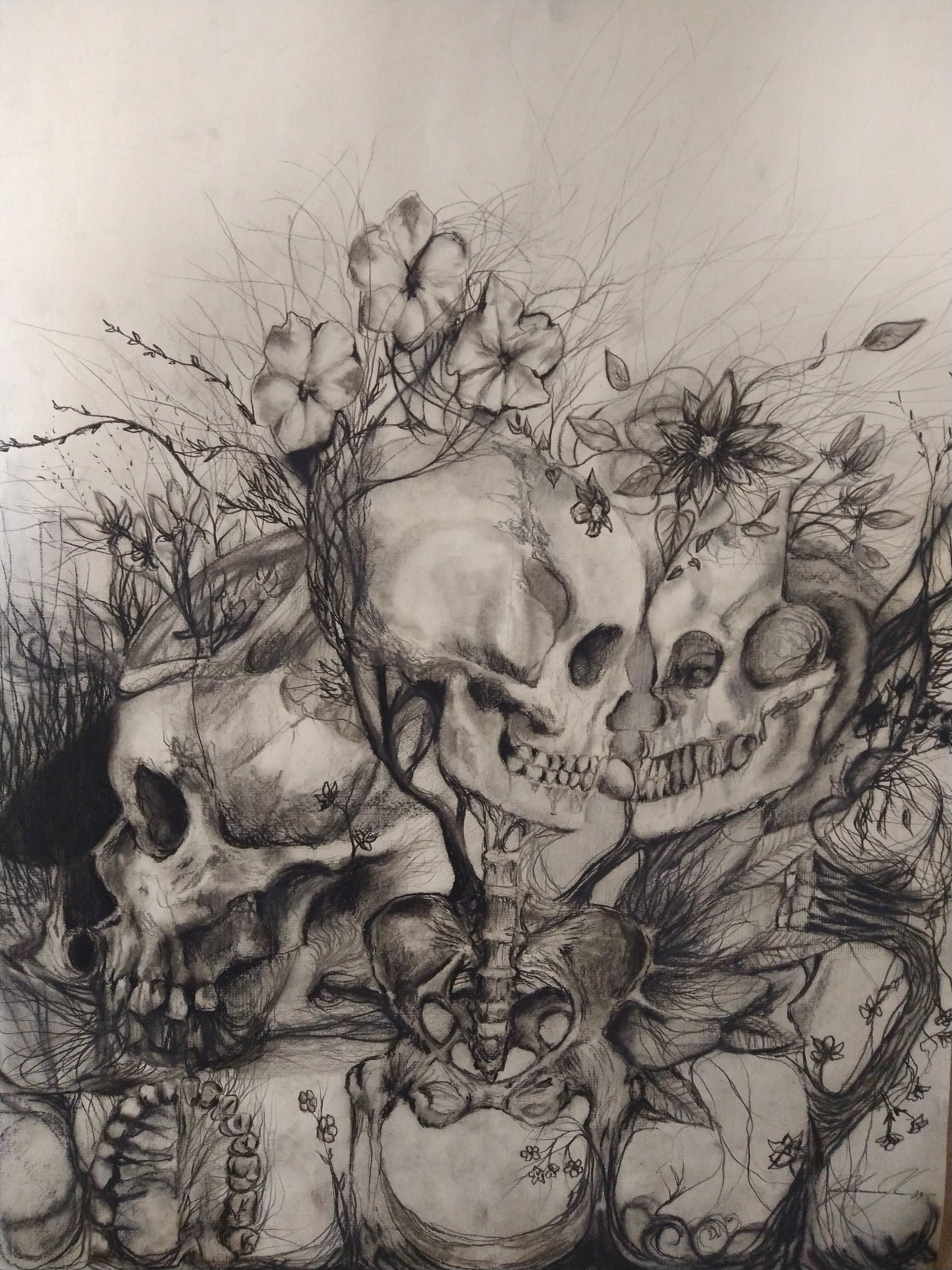 Study of skulls and flowers 