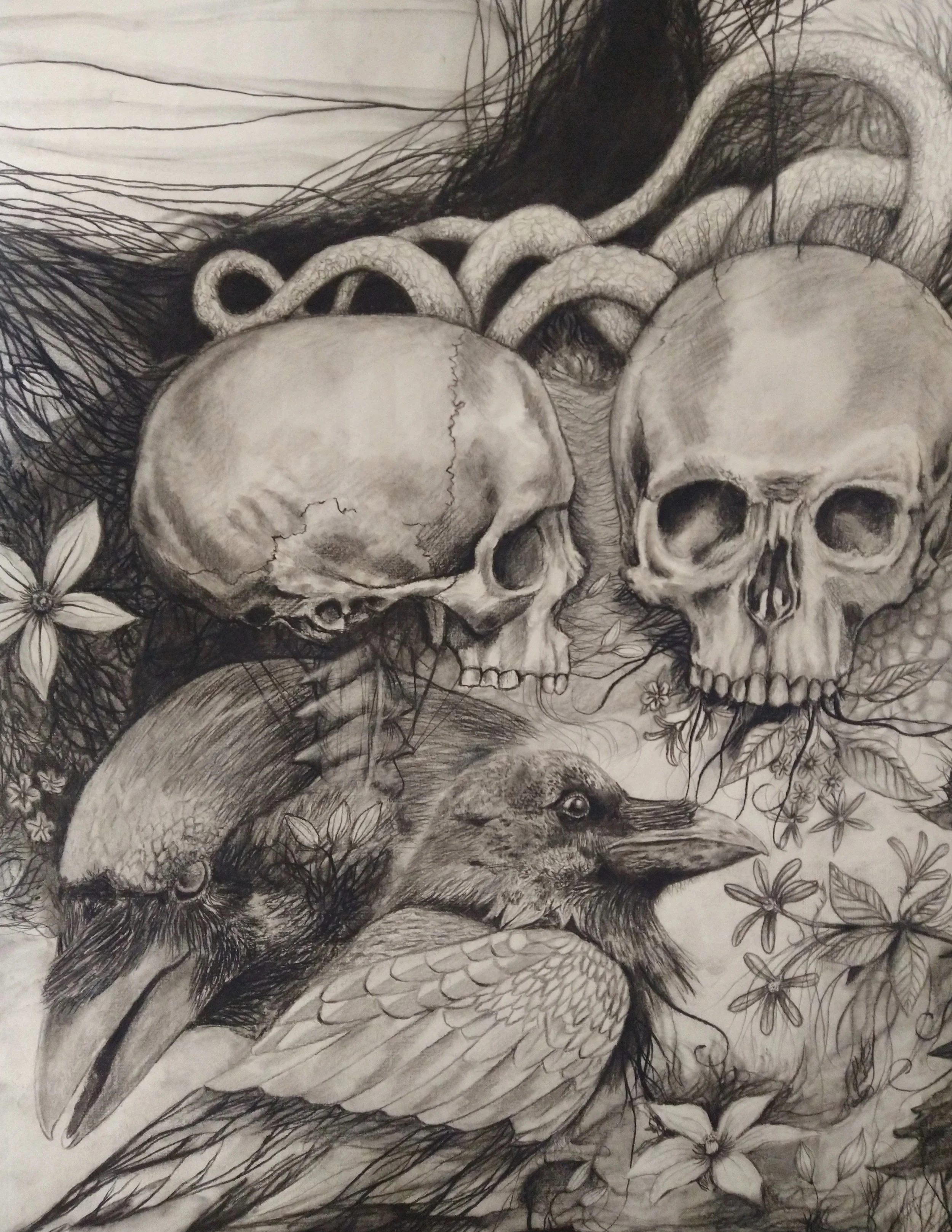Raven with Skulls.jpeg