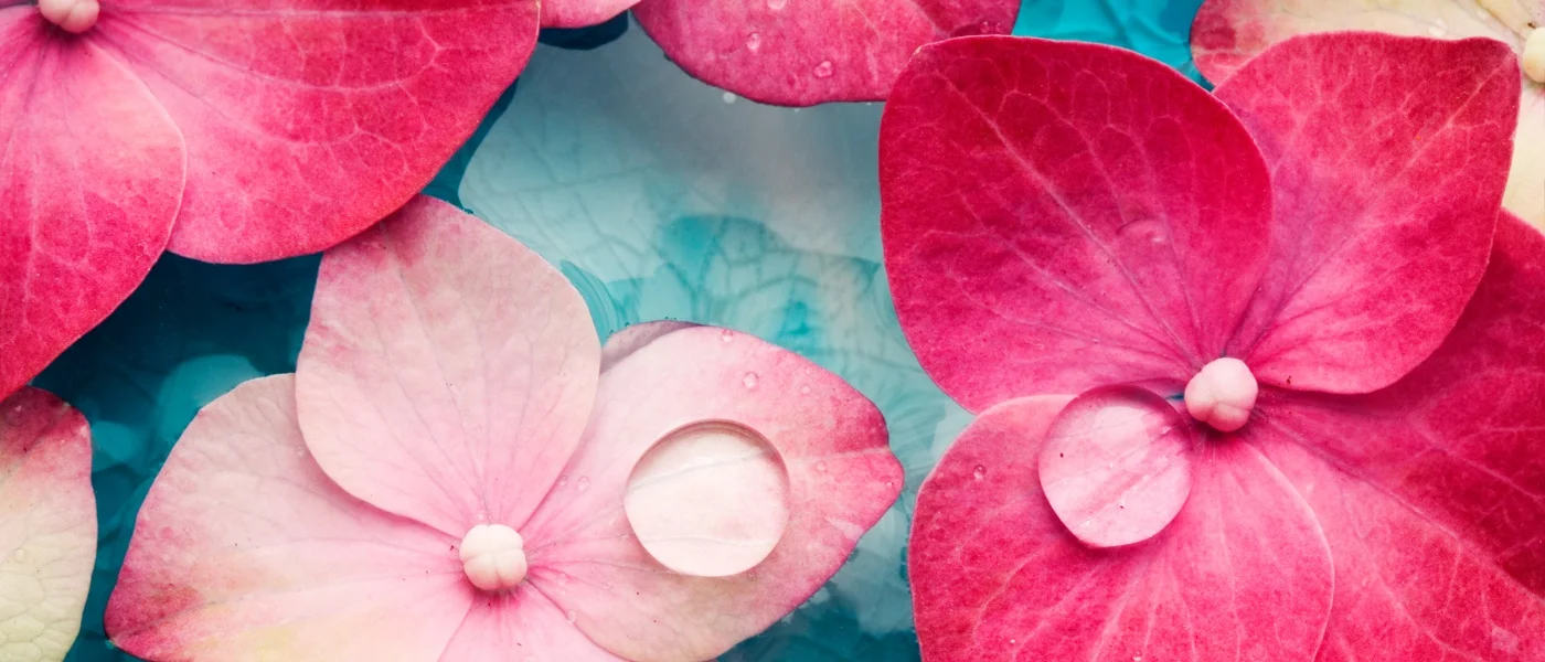 red-flowers.jpg