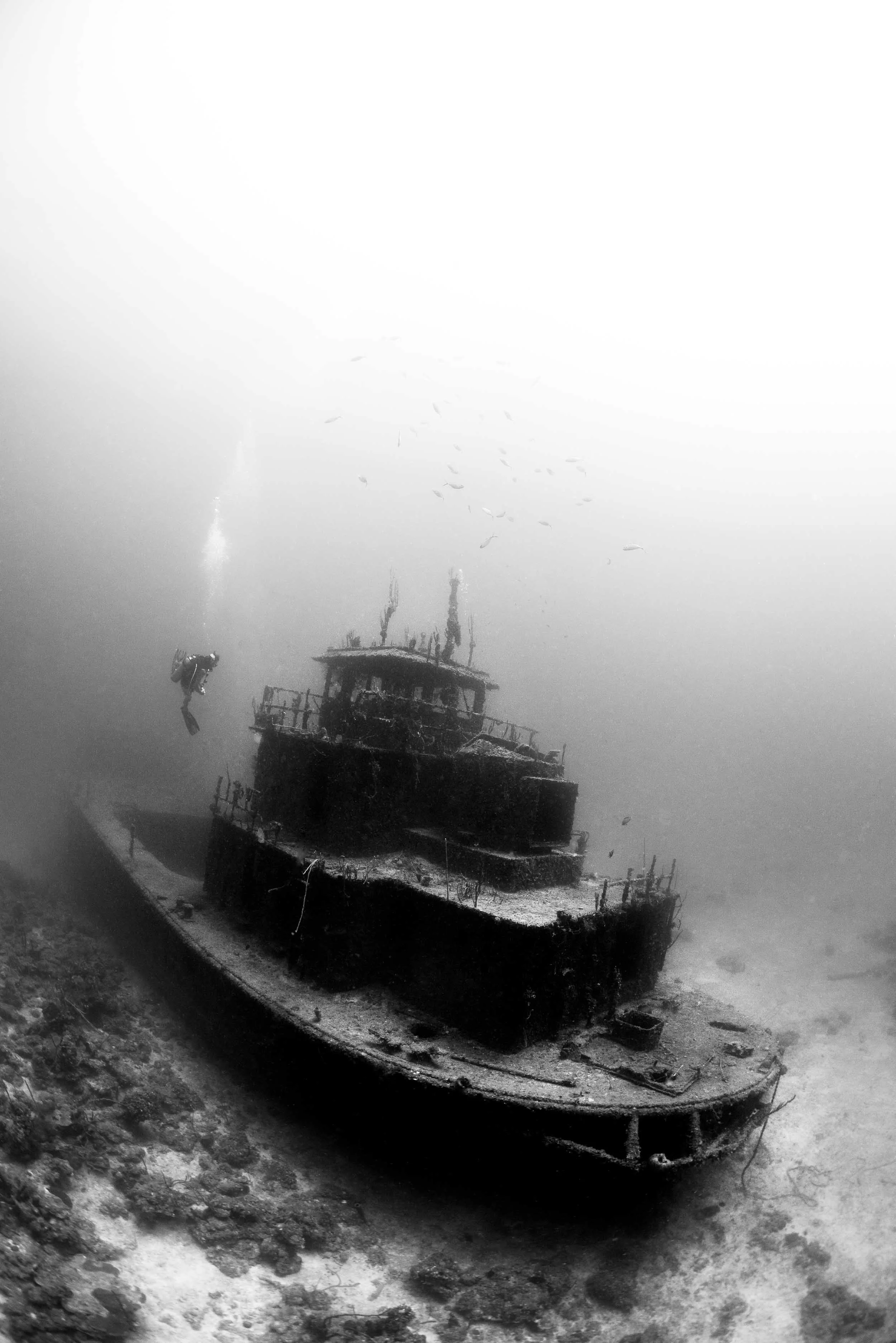 haliburton-utila-honduras-1.jpg