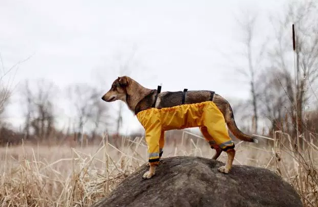 Screen Shot 2016-01-06 at 9.30.53 AM.png