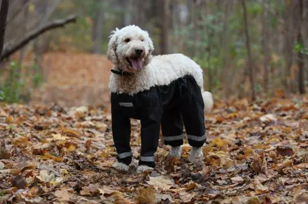 Screen Shot 2016-01-06 at 9.31.13 AM.png