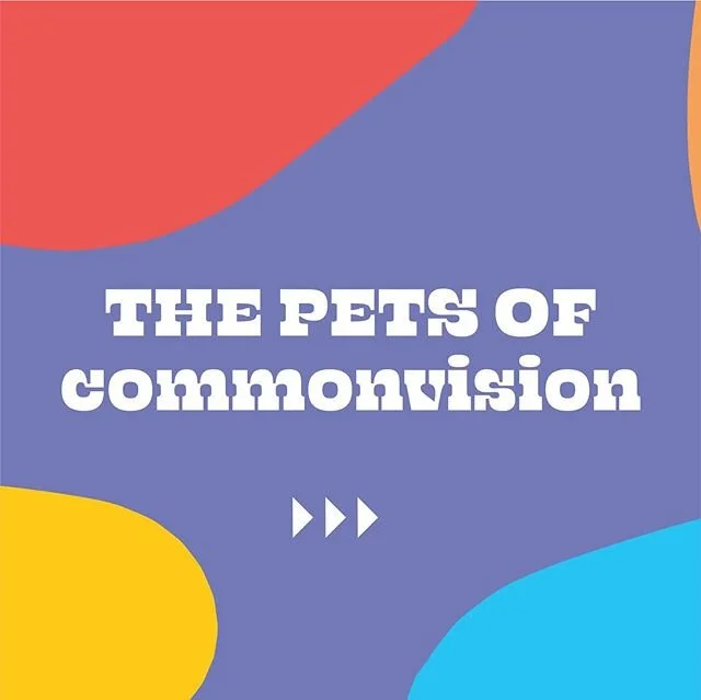 Take a look at the pets of commonvision! Our furry coworkers are the topic of many messages day to day, and we love them so! #UMBC #UMBCTogether