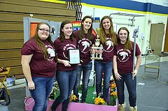 6th Place - Sheboygan Falls
