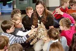 Stem Summer Camps And Programs Stem Forward