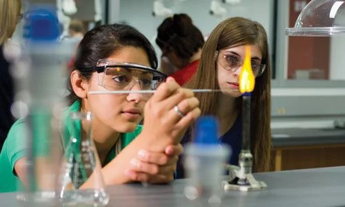 stem diversity.jpg
