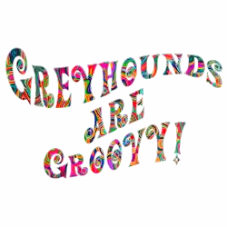 groovy_greyhound_adoption_hoodie.jpg