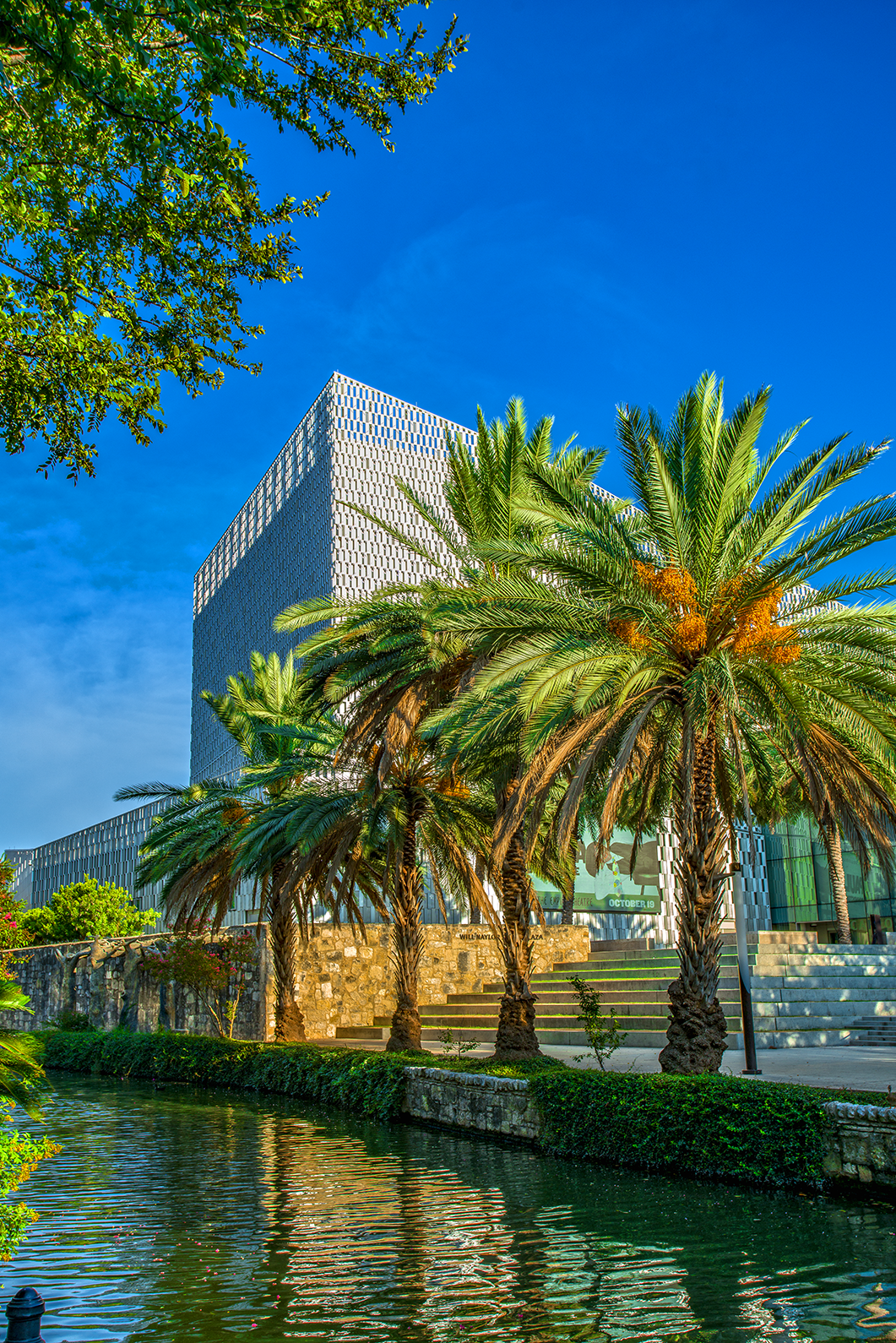 Tobin Center for the Performing Arts