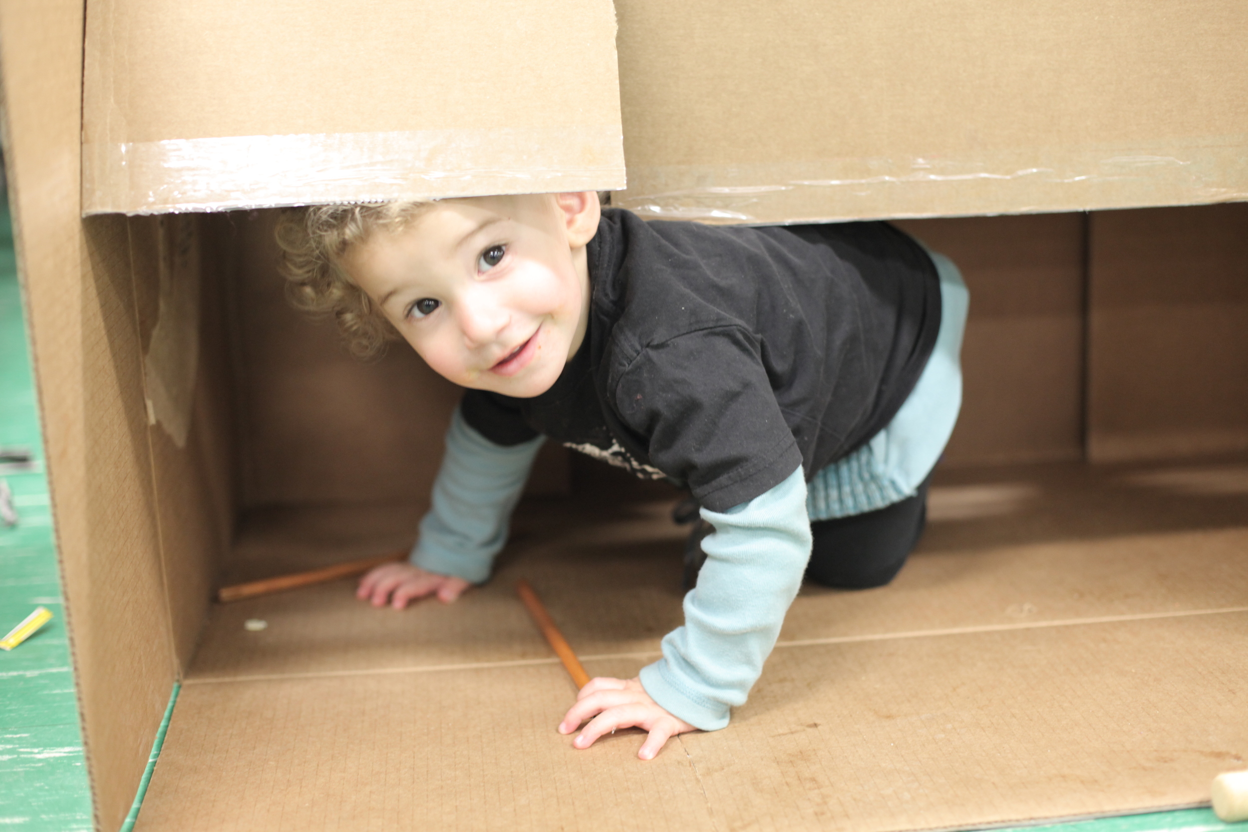 Little ones always love to get into cardboard boxes. We know this, yet every time it happens, the joy is renewed!