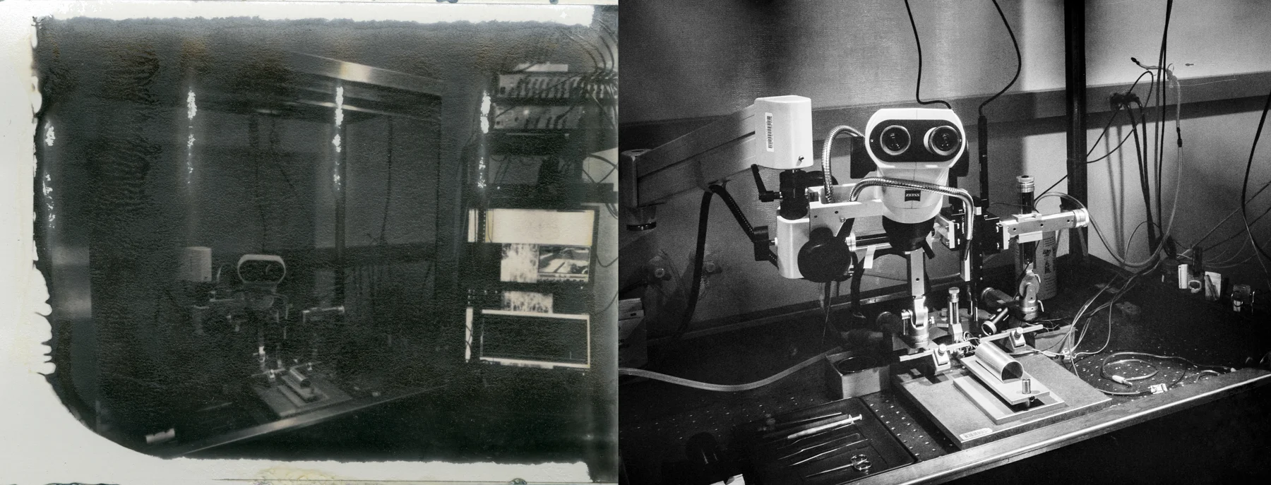 Stereotaxic Setup in Faraday Cage
