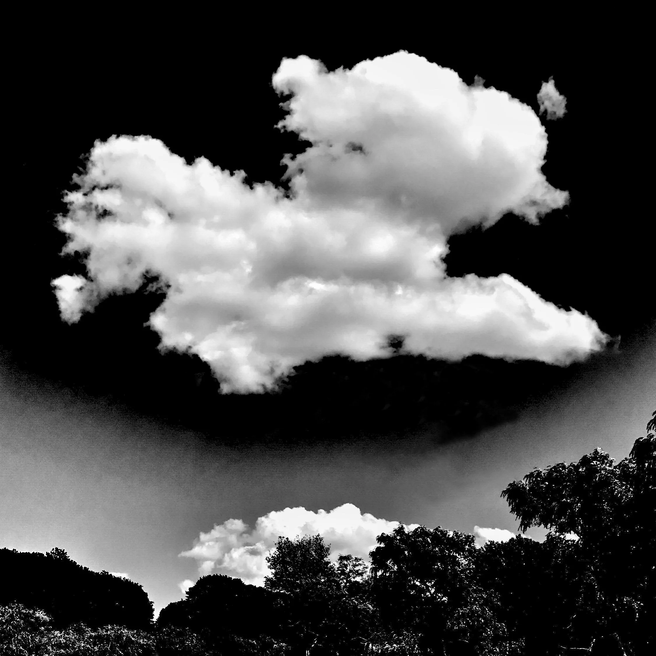 Sarinana-Joshua-5.jpg