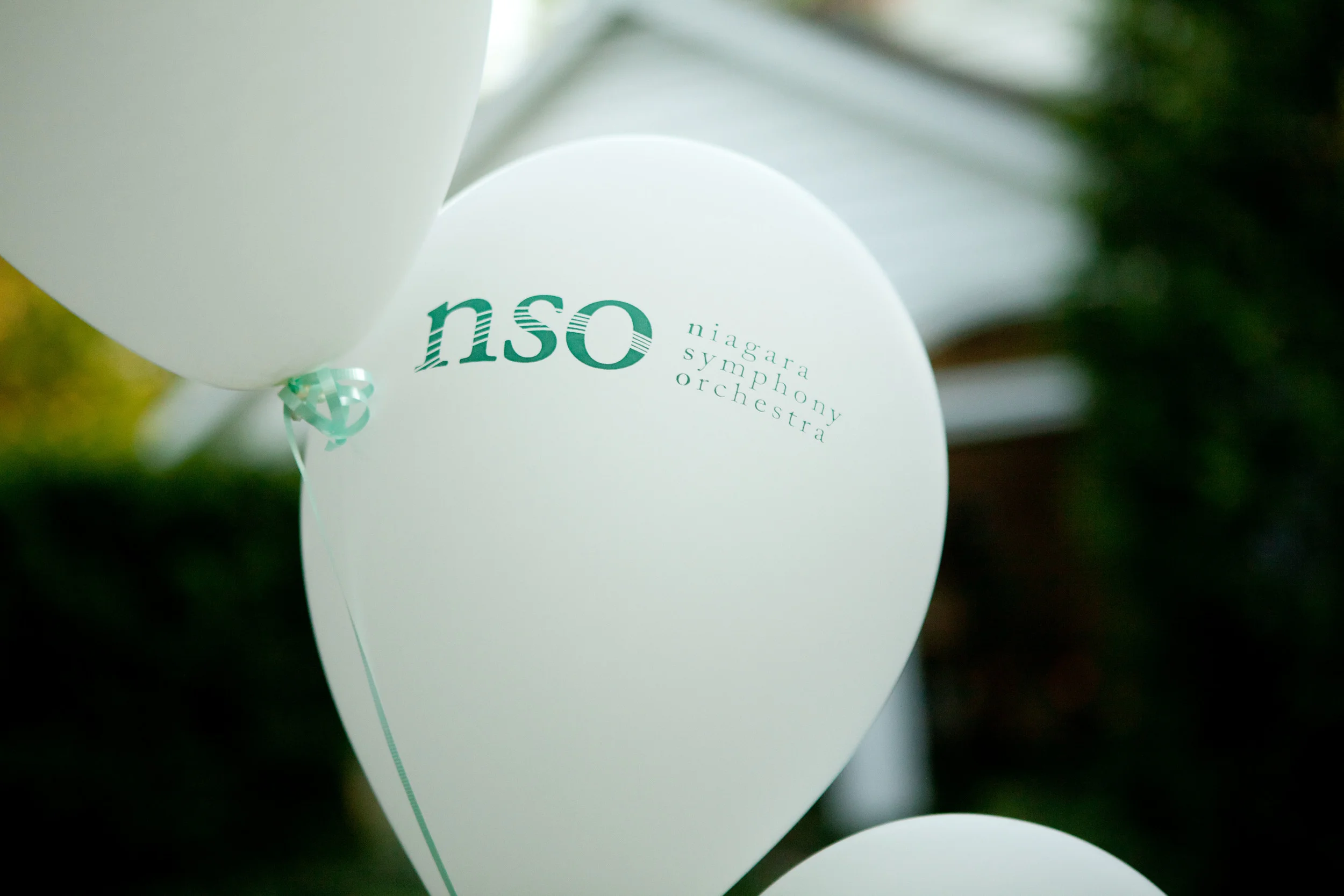 NS-236.jpg