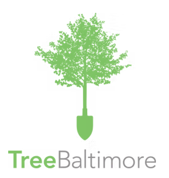 Tree Baltimore