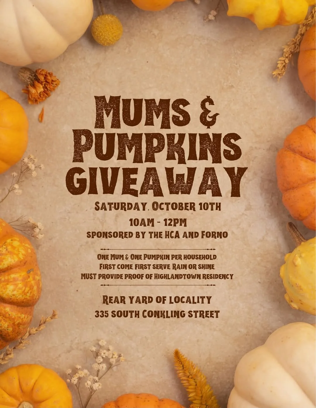 Free Mums and Pumpkins