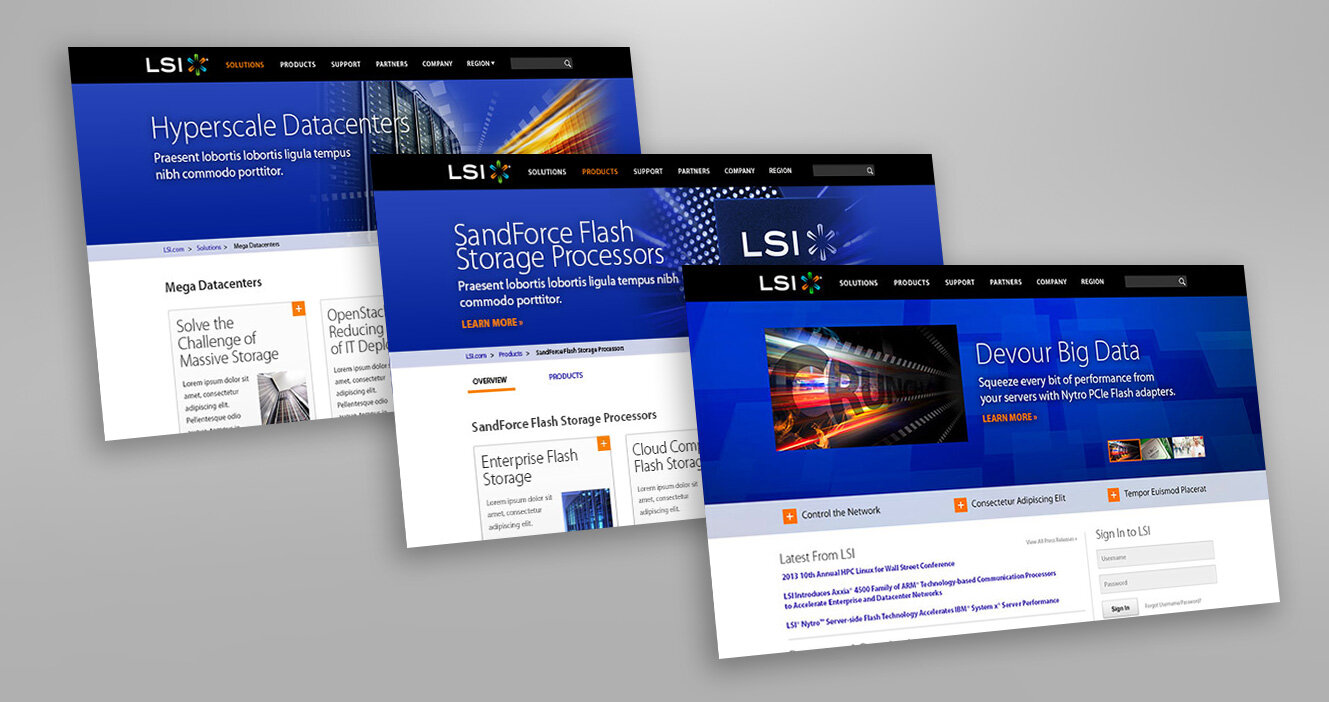 lsi-2013-web-various.jpg