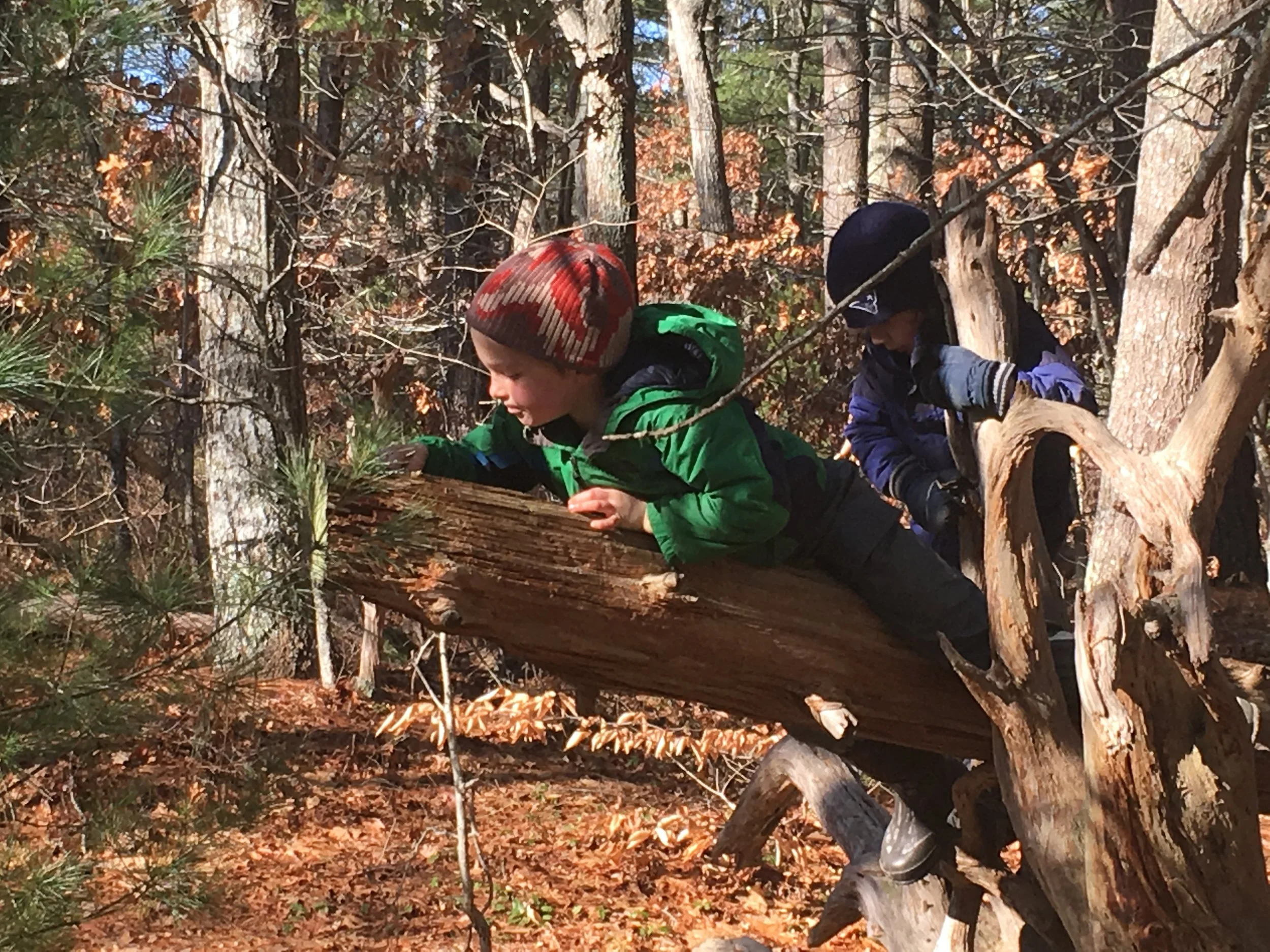 The Benefits of Outdoor Free Play — Waldorf School of Cape cod