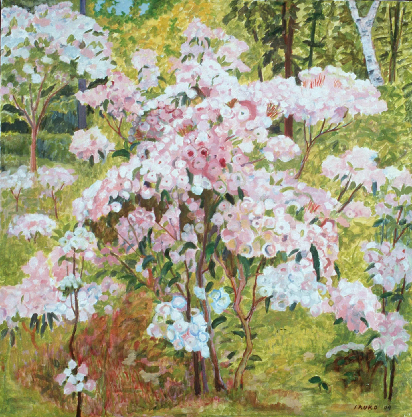 MtnLaurel1_04edit2_300.jpg