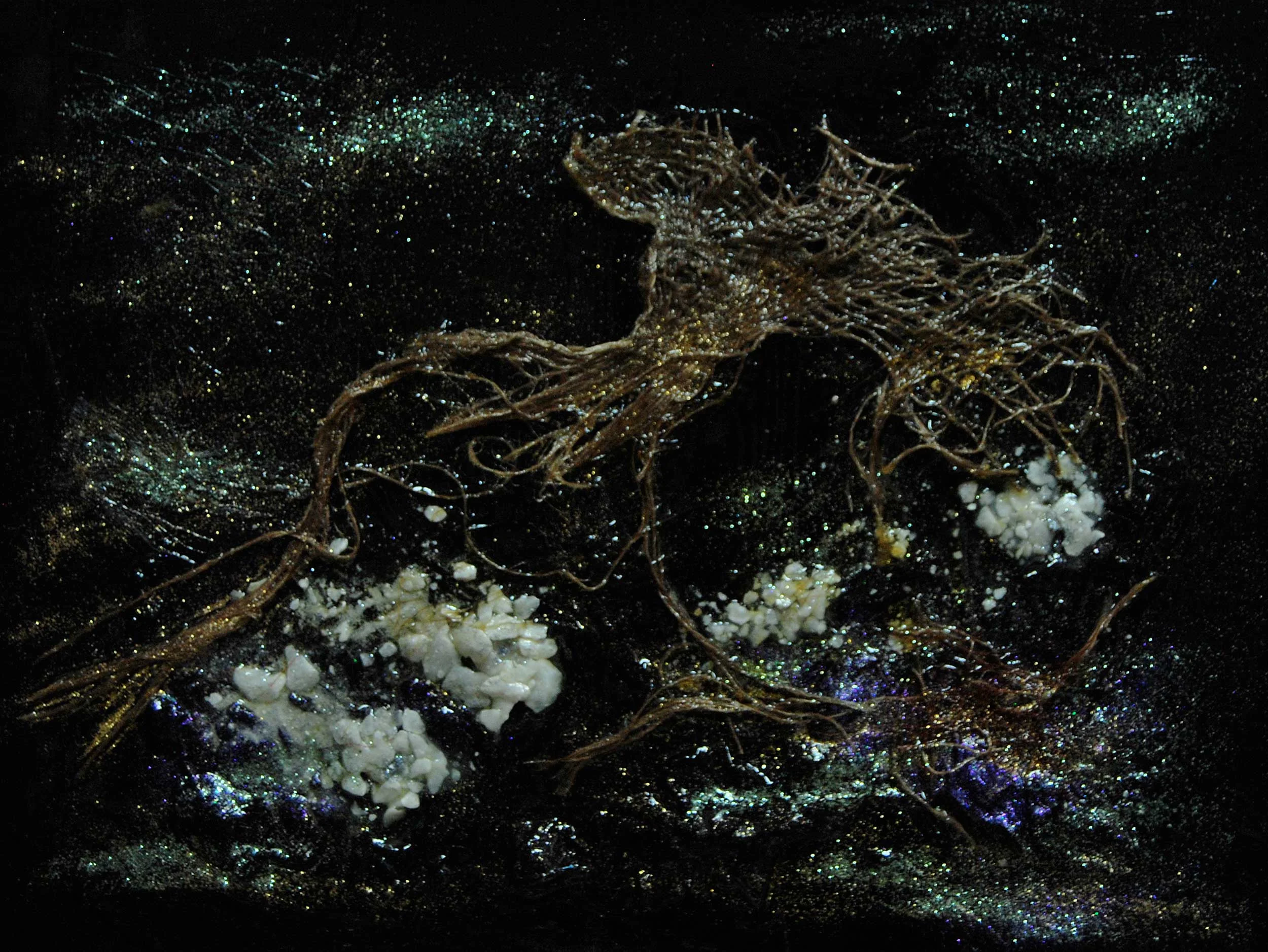 Yoshiko_Ikeda_04_Cambrian-Explosion-Ⅲ-Melesio_2011_12x16_Mix-media-Sm.jpg
