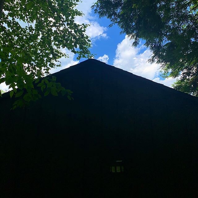 Cottage Update: I BLACKED-OUT my Shed building including the bird house, it looks dope surrounded by the greenery . #workinprogress #cottage #allblackeverything #wagnerpaintsprayer