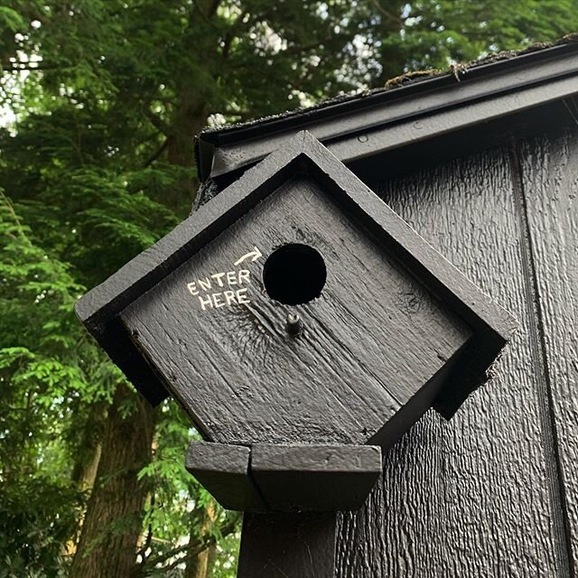 Cottage Update: I&rsquo;m feeling much better after hookin&rsquo; up the white &ldquo;ENTER HERE SIGN&rdquo; on the blacked-out everything I did yesterday. I couldn&rsquo;t have my Bird missing the hole. #generalanxiety #cottage #cabinlife #birdhouse