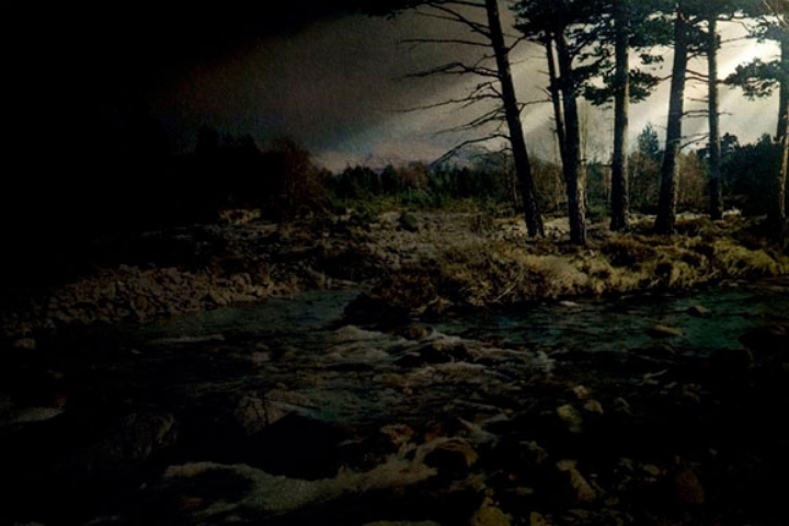 Untitled (Forest)