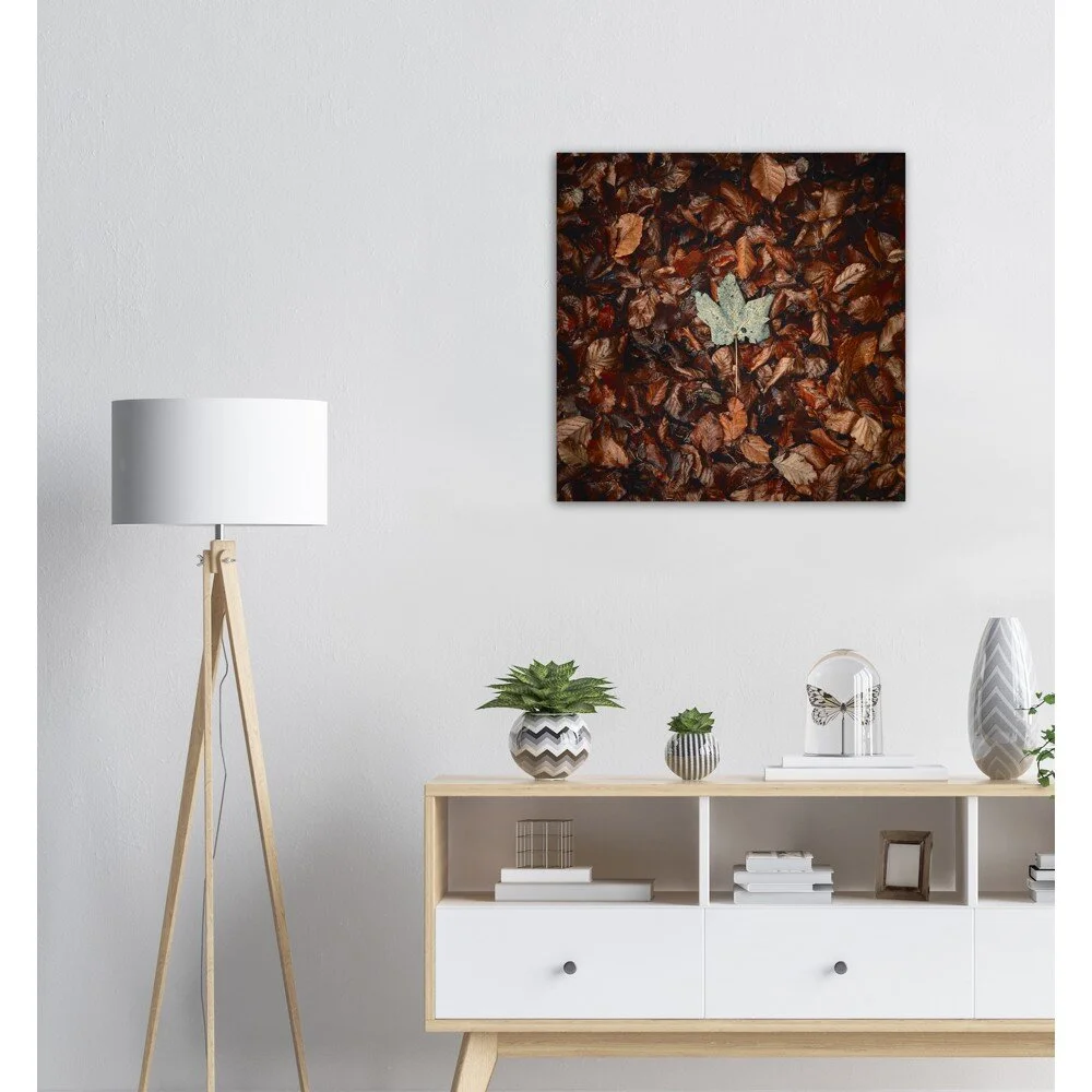 tmp-796-5KUOCUiLmY5y