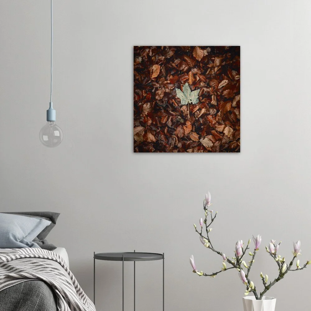 tmp-796-70NwlDsKroYQ