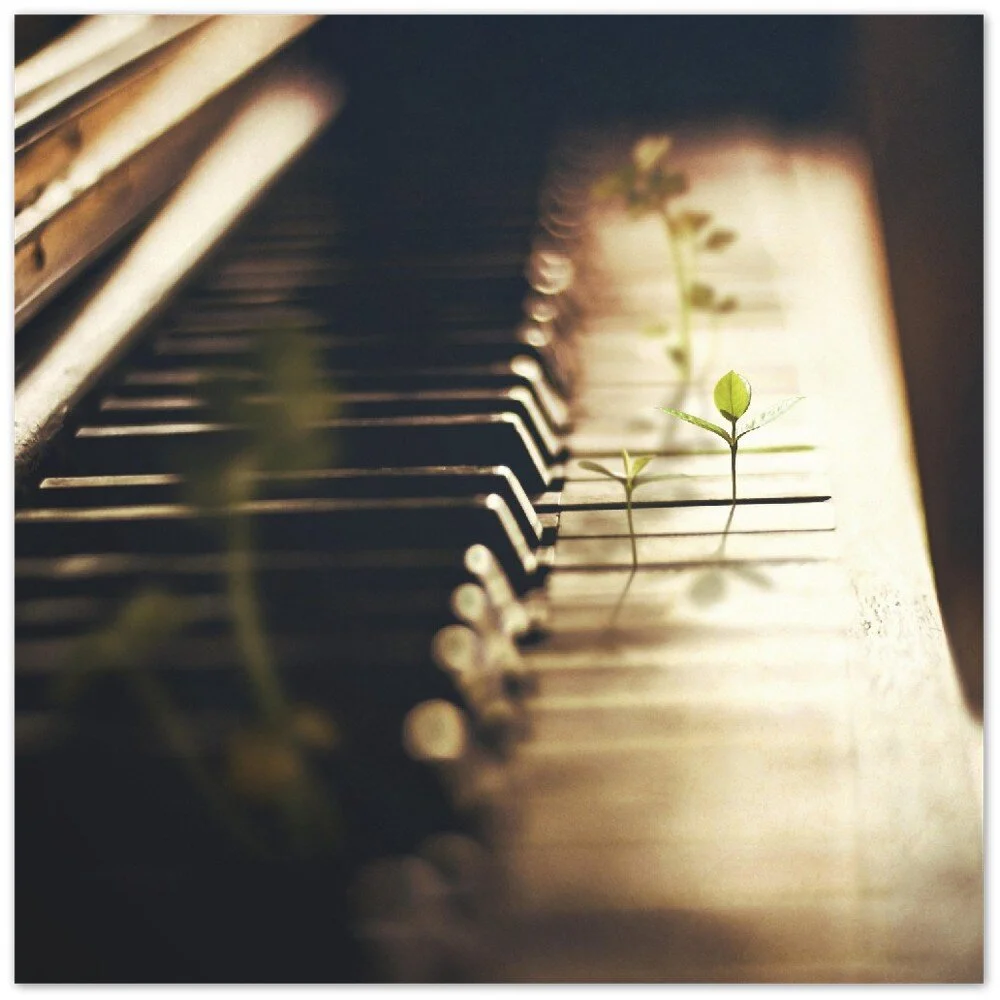 tmp-401-6251hLdXfjPo