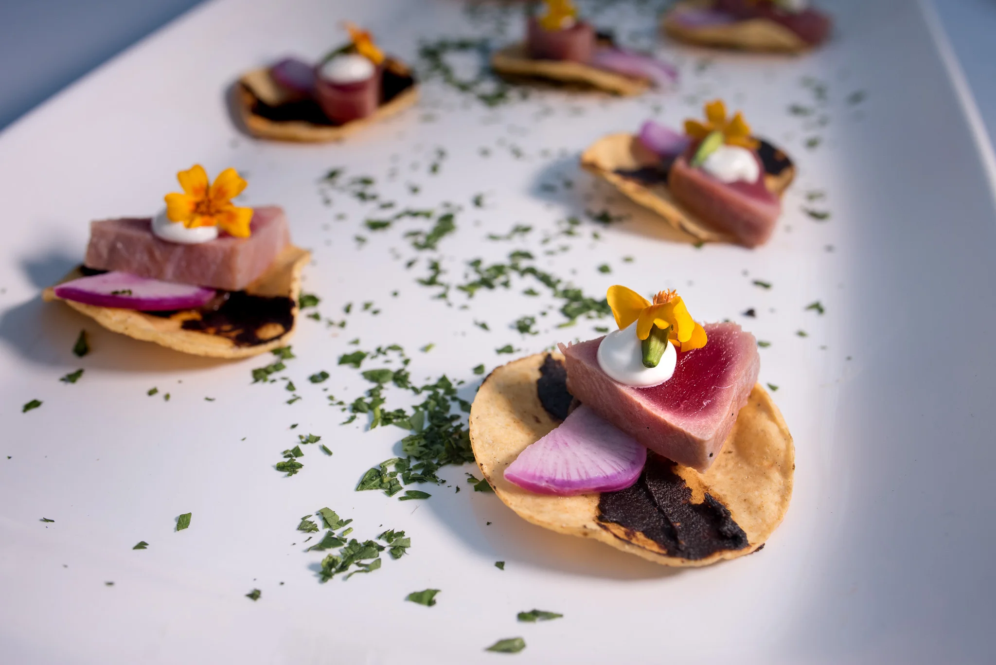 ALBACORE TOSTADA| Seared Albacore, Black Bean, Crema & Microflower, on Tostadita