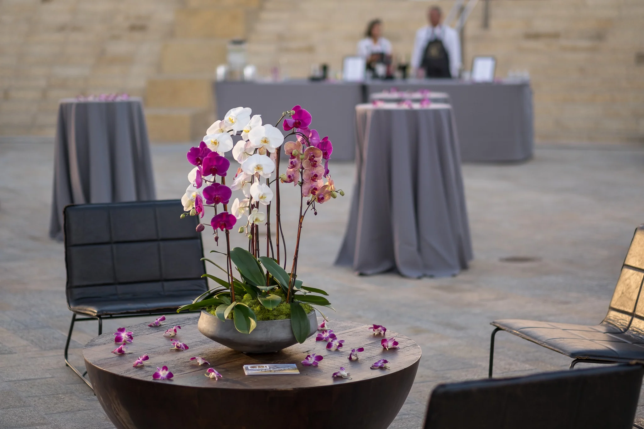 Orchids_and_Onions064.jpg