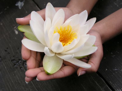 flower.jpg