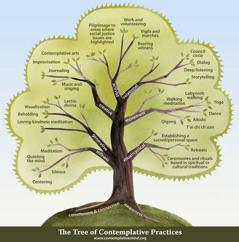 2012-tree2-800x810v2.jpg