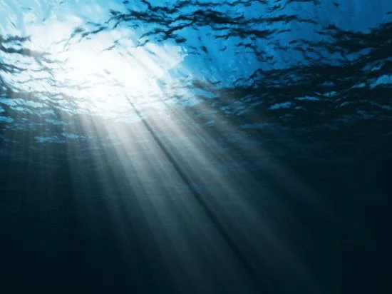 save-the-ocean-tips_13821_600x450.jpg