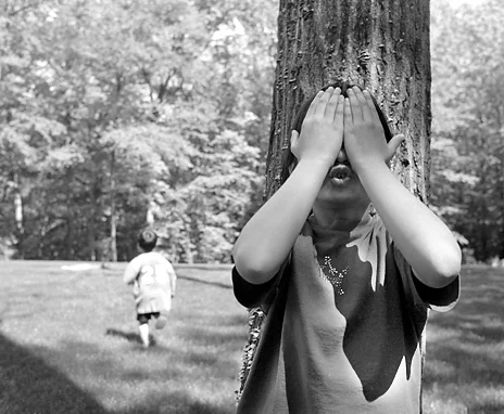 hide_and_seek11.jpg