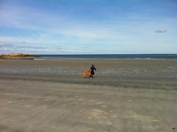 beachrun.jpg