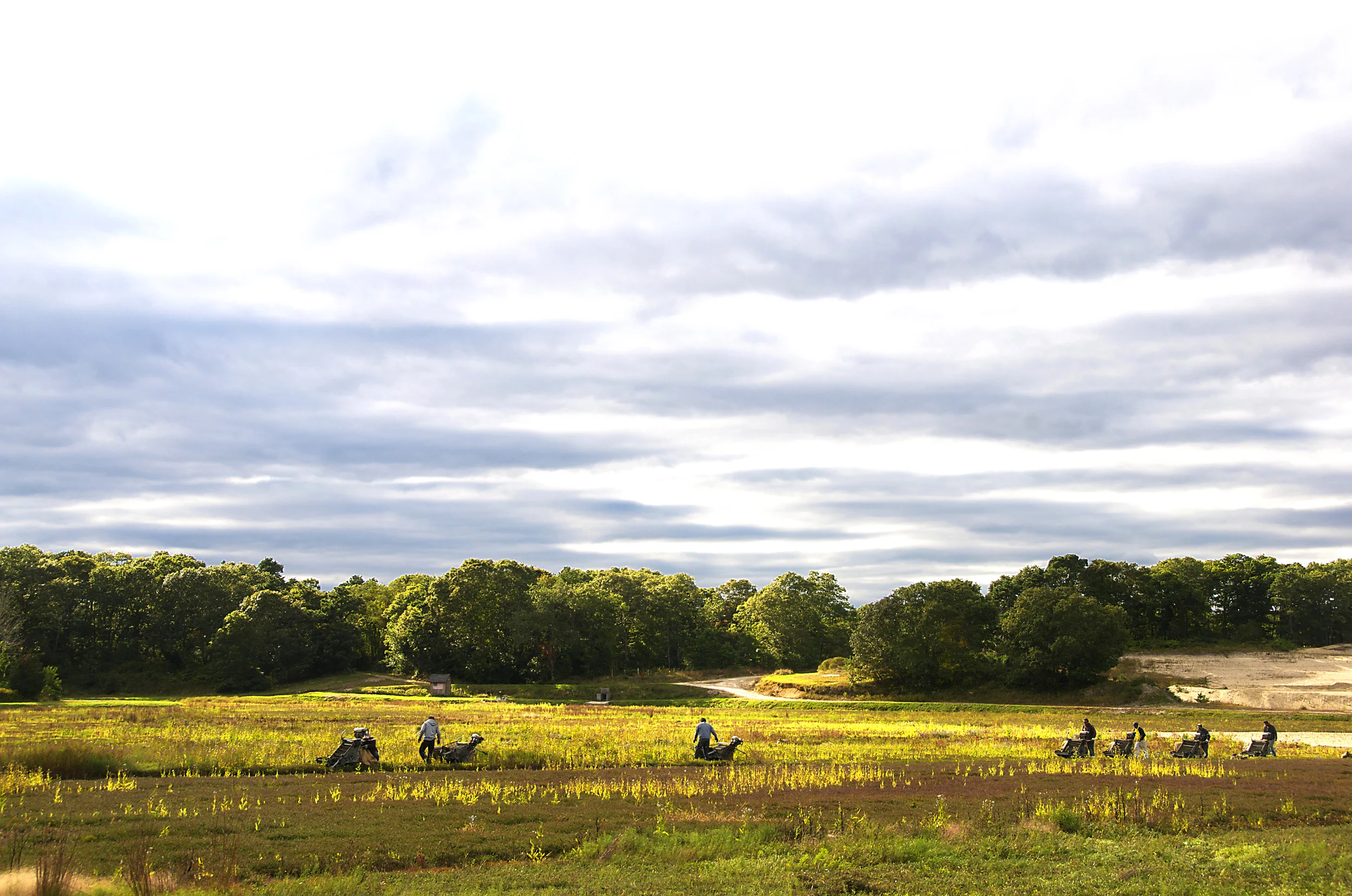 The Reapers, Photograph