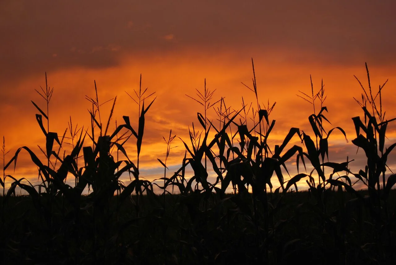 Isn’t it our greatest ache to reconnect to the wisdom of LOVE that is within us—to our own Unique Fire? (Photograph by Tina FireWolf)