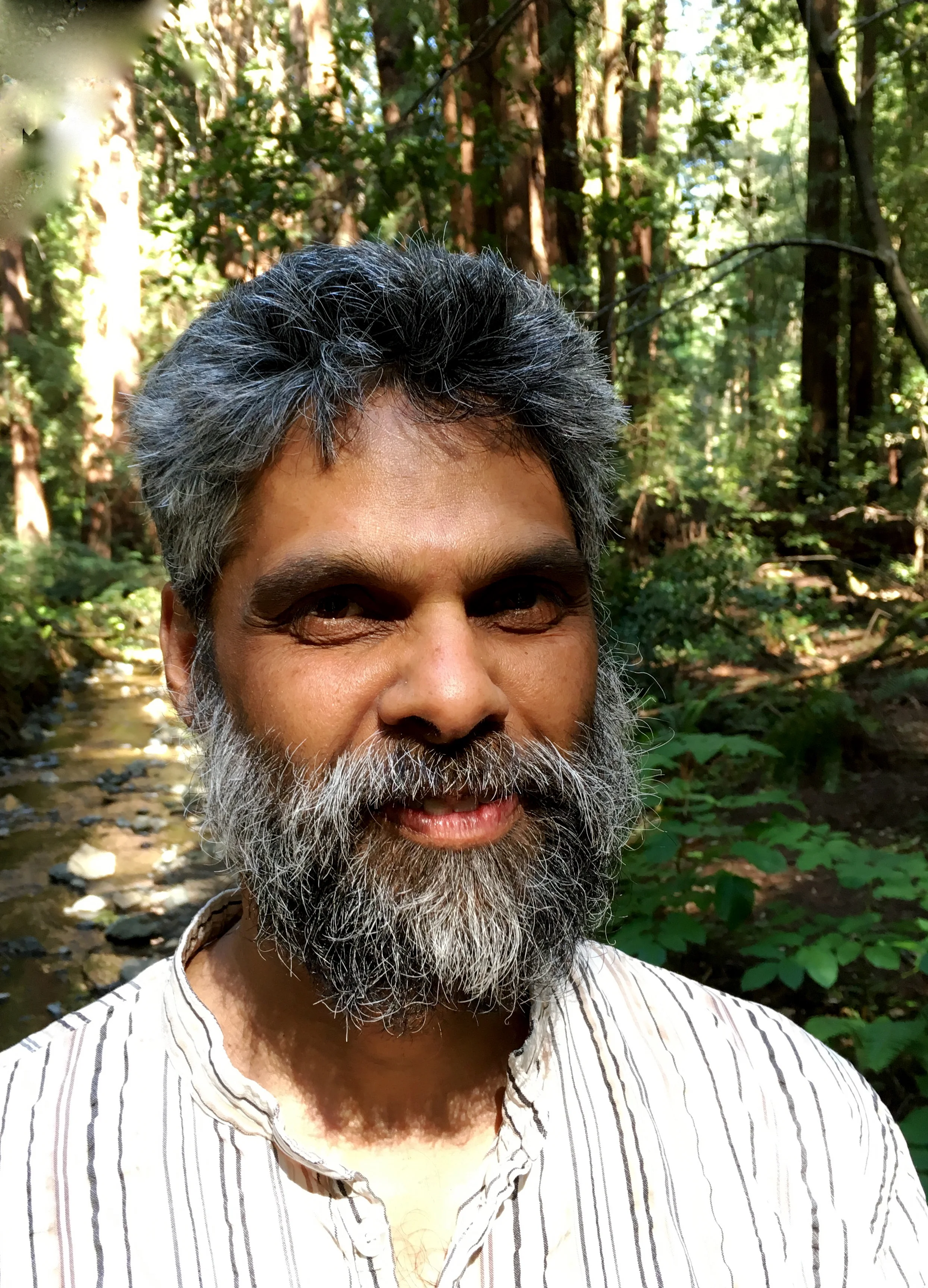 Muir Woods.jpg