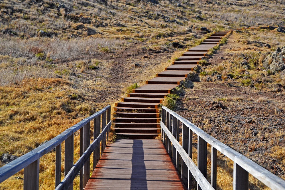 Still Harbor Announces Leadership Transitions