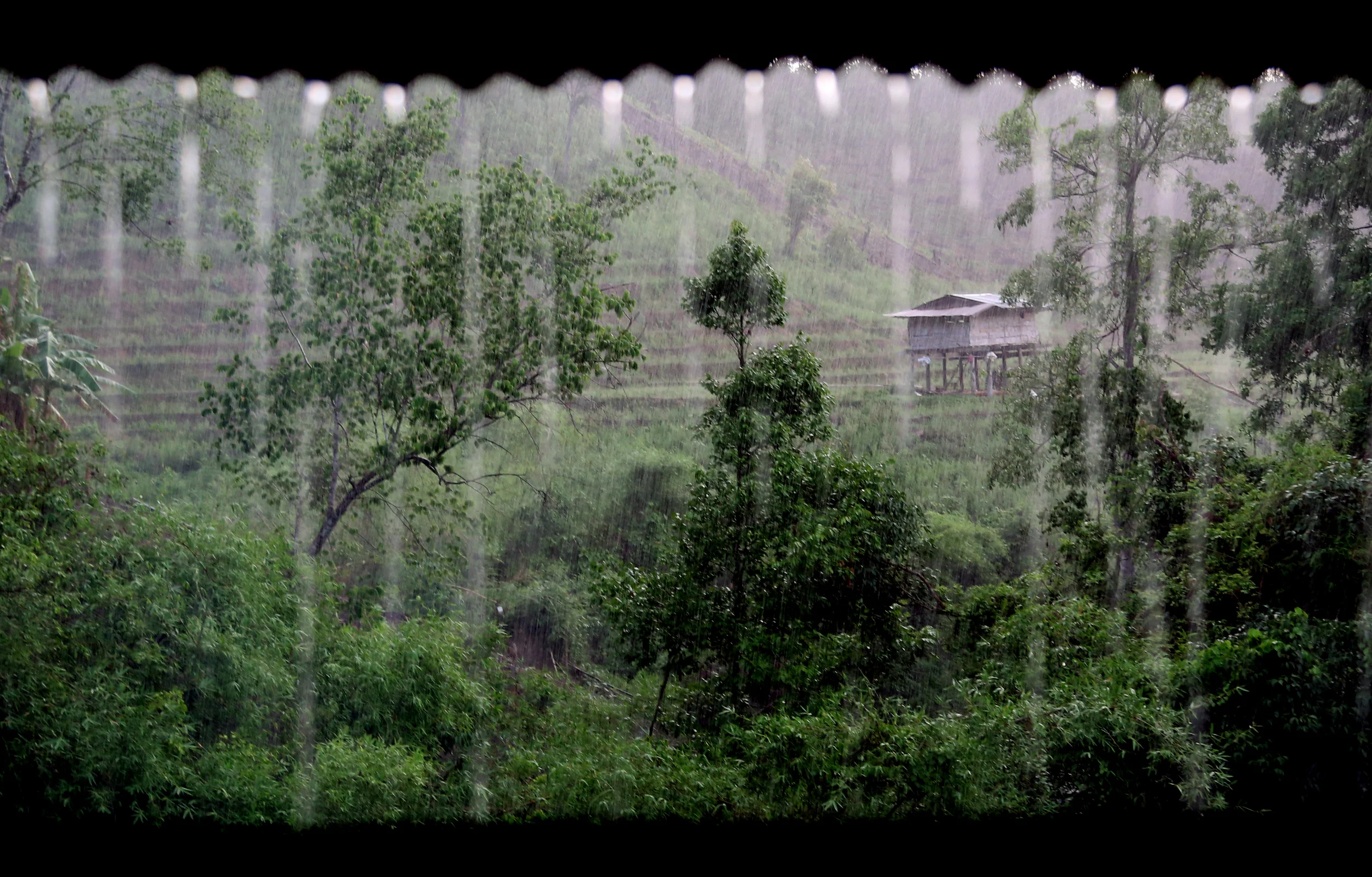  A torrential downpour passes through a White Karen Hilltribe village in northern Thailand. 