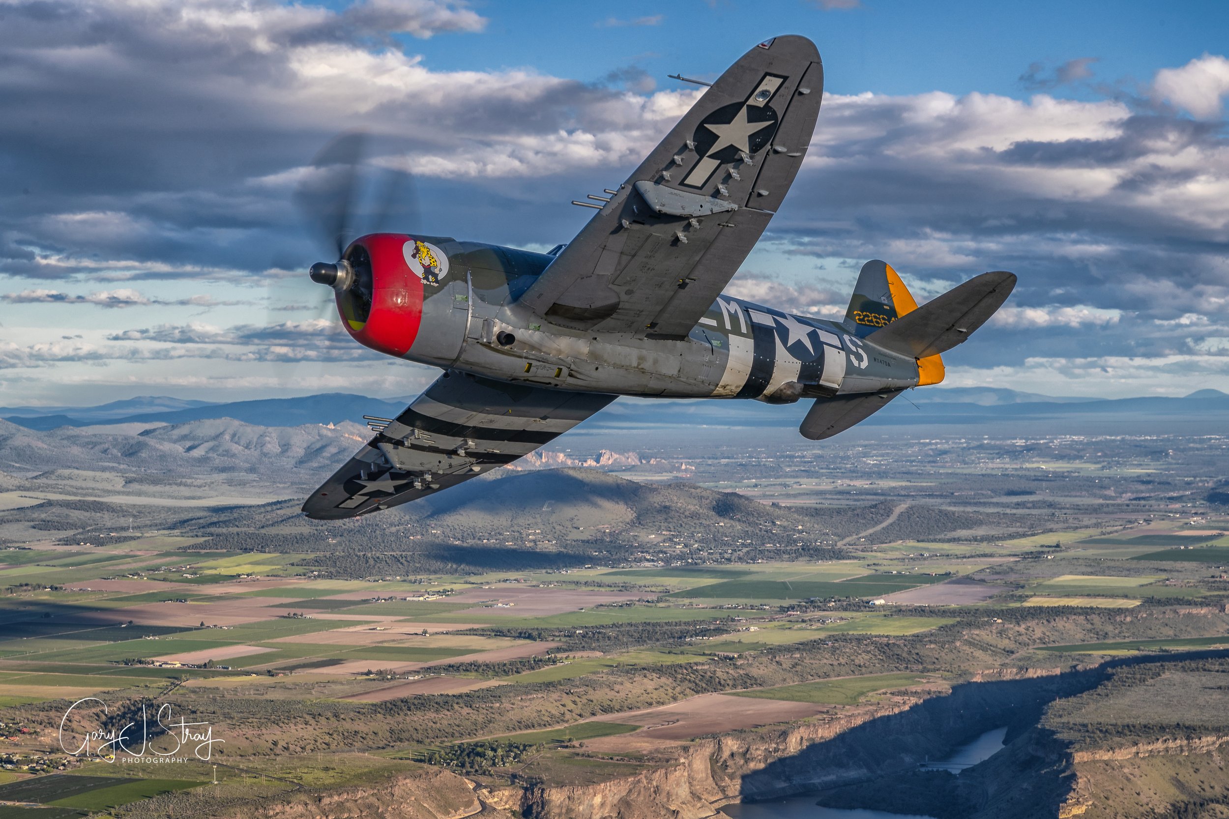 P-47 Gary Stray.jpg