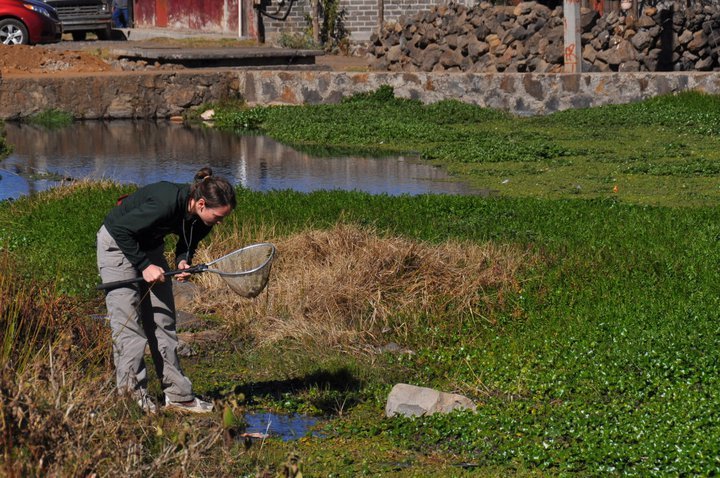 Fieldwork - Michoacán Mexico 2011