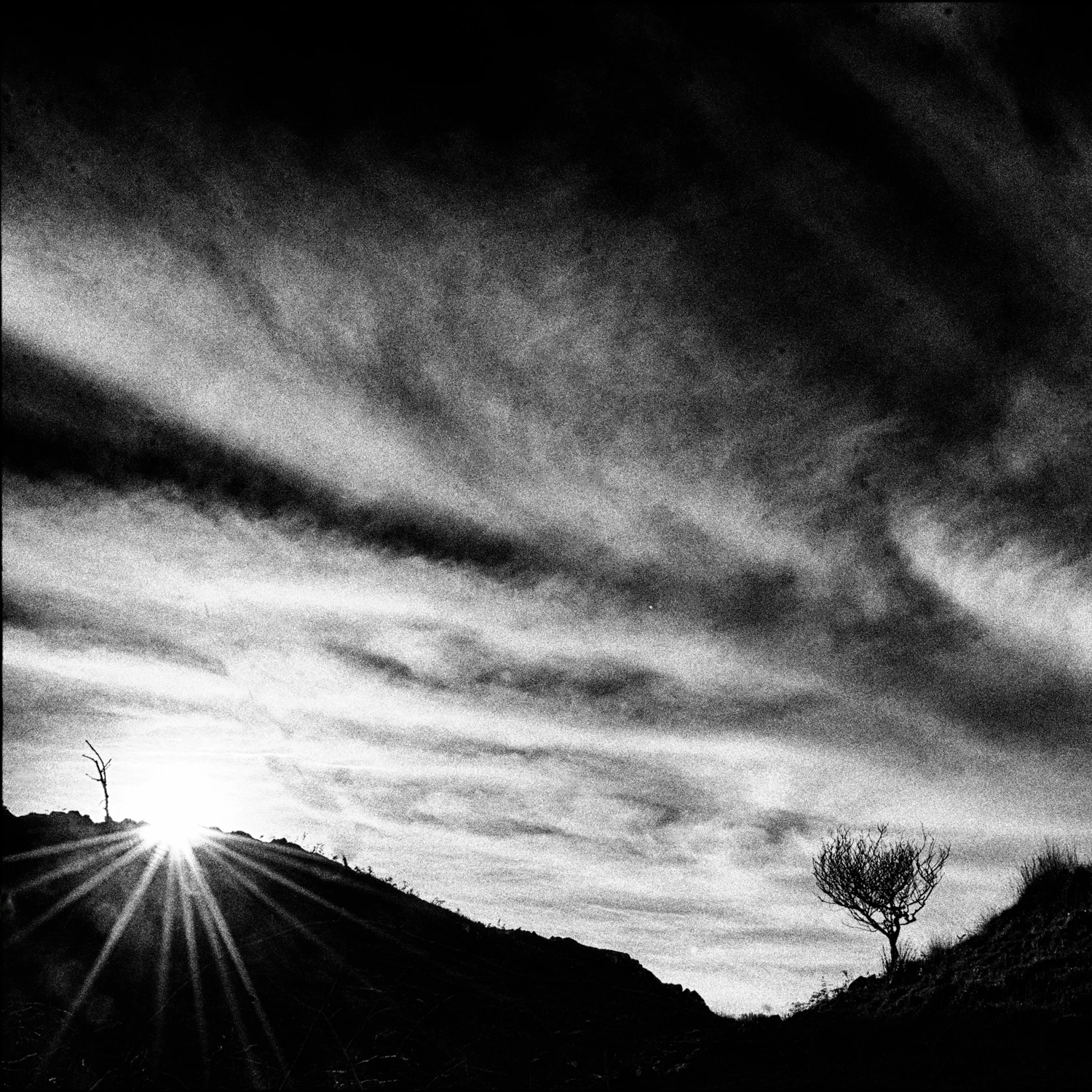 DSC_2682-Edit-Edit.jpg