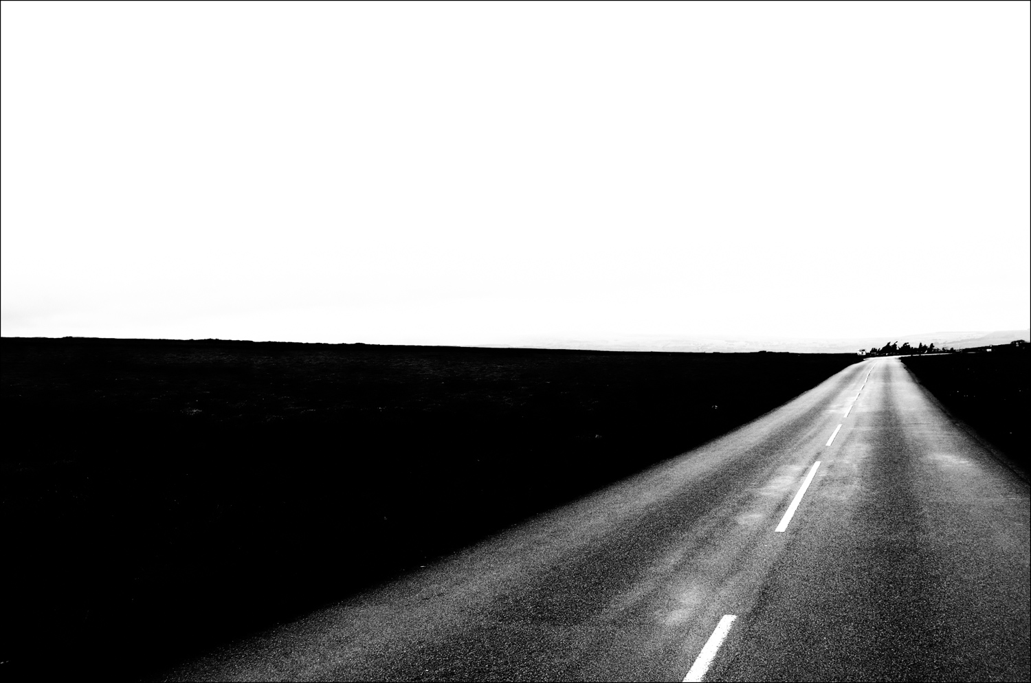 SJC-035692-16-08-2014-Edit-2.jpg