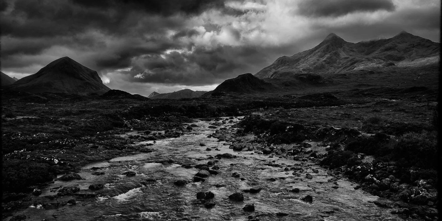DSC_7533-Edit-2-Edit.jpg