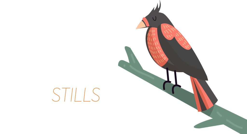 03.png