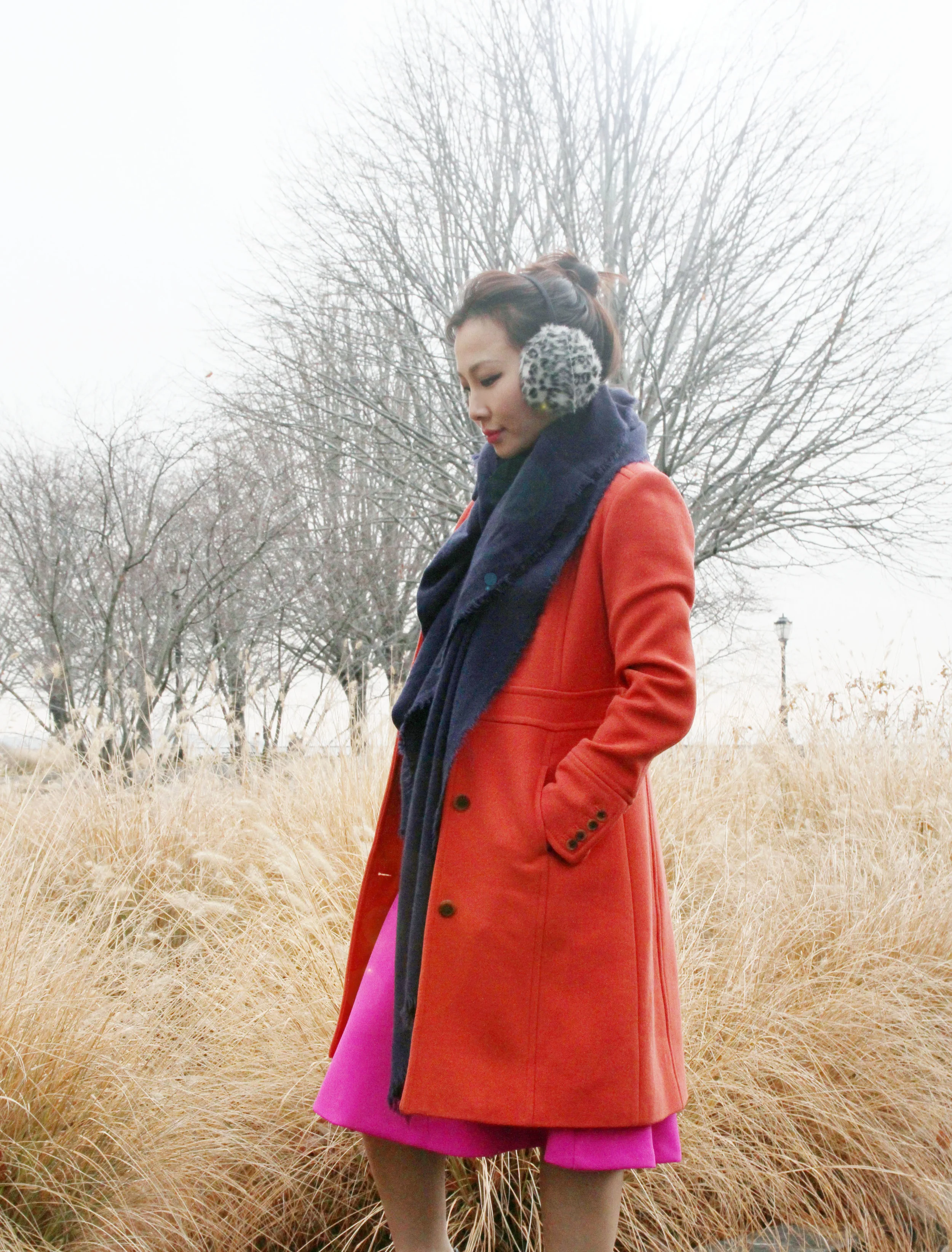 Holiday outfit cover .jpg